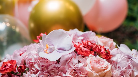 Cannot view this image? Visit: https://images.newsfilecorp.com/files/8871/271449_d0cf9604a4a99983_002.jpg