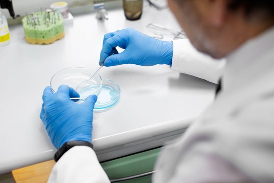 Cannot view this image? Visit: https://images.newsfilecorp.com/files/8871/285455_5e74899734072b35_002.jpg