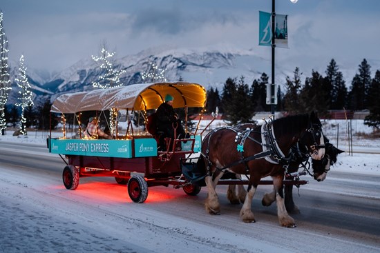 Cannot view this image? Visit: https://images.newsfilecorp.com/files/8883/279933_458c4acfe4a0eacc_002.jpg