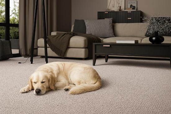 Cannot view this image? Visit: https://images.newsfilecorp.com/files/9405/281104_3110a8aeb44f78f9_001.jpg