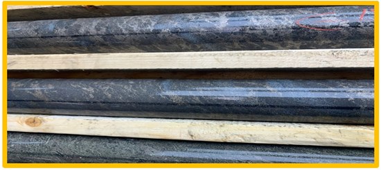 Cannot view this image? Visit: https://images.newsfilecorp.com/files/9409/285930_arya5_550.jpg