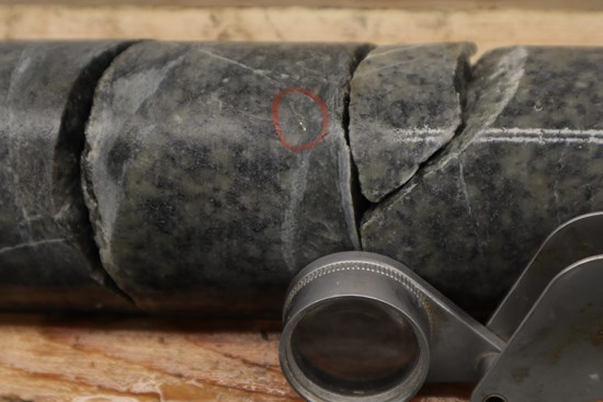 Cannot view this image? Visit: https://images.newsfilecorp.com/files/9602/288193_f65f199114b1fb1c_002.jpg