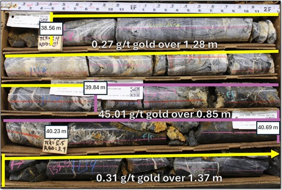 Cannot view this image? Visit: https://images.newsfilecorp.com/files/9779/292741_scorpiogold3_550.jpg