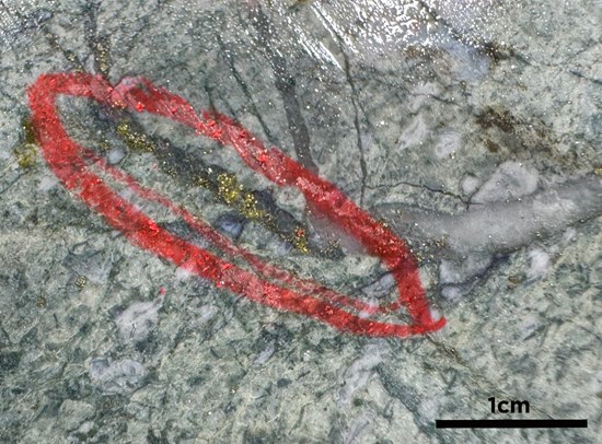 Cannot view this image? Visit: https://images.newsfilecorp.com/files/9800/276730_cb5c3229d420db7b_005.jpg