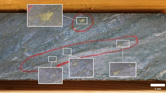 Cannot view this image? Visit: https://images.newsfilecorp.com/files/9800/280167_06201bac943dcb85_001.jpg