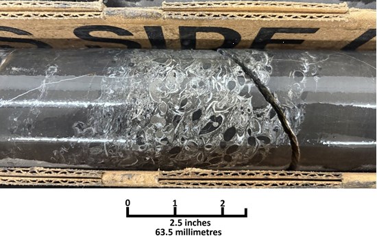 Cannot view this image? Visit: https://images.newsfilecorp.com/files/9821/273413_ffbb09ba444e1a48_001.jpg