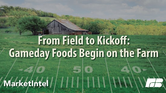 Cannot view this image? Visit: https://images.newsfilecorp.com/files/9843/282698_9b1ee63d7476a9a4_001.jpg