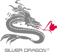 Silver Dragon Resources Inc.