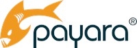 Payara Services Ltd
