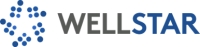 WELLSTAR Technologies Corp.
