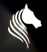 Darkhorse Technologies Ltd.