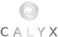 Calyx Ventures Inc.