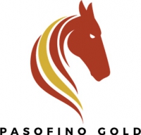 Pasofino Gold Limited