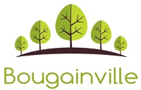 Bougainville Ventures Inc.