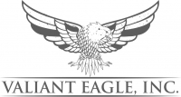 Valiant Eagle Inc.
