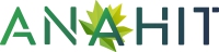 Anahit International Corp