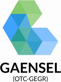 Gaensel Energy Group, Inc.