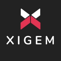 Xigem Technologies Corporation