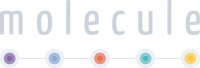 Molecule Holdings Inc.