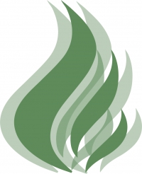 Ayujoy Herbals Ltd.