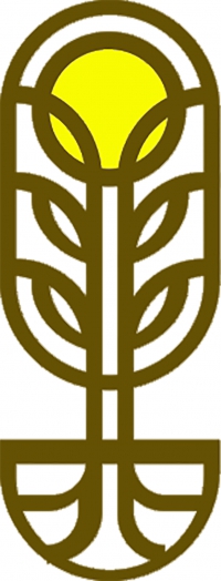 Buscar Company