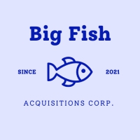 Big Fish Acquisition Corp.